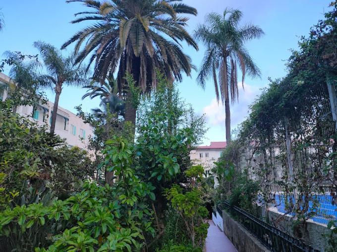 Hotel El Djazair El Mouradia Ngoại thất bức ảnh